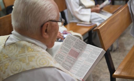 48724016702_1afa4f4821_b