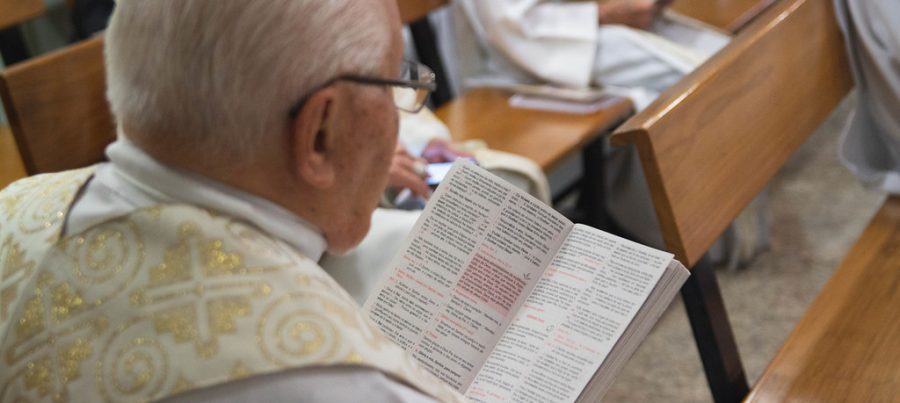 48724016702_1afa4f4821_b