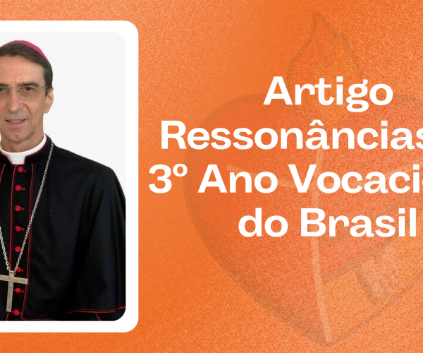 Artigo Ressonâncias do 3º Ano Vocacional do Brasil