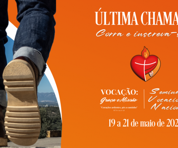 BANNER SITE PEQUENO WORDPRESS (490 × 500 px) (Apresentação (169))